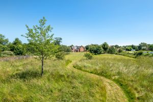 Grassed Meadow Area- click for photo gallery
